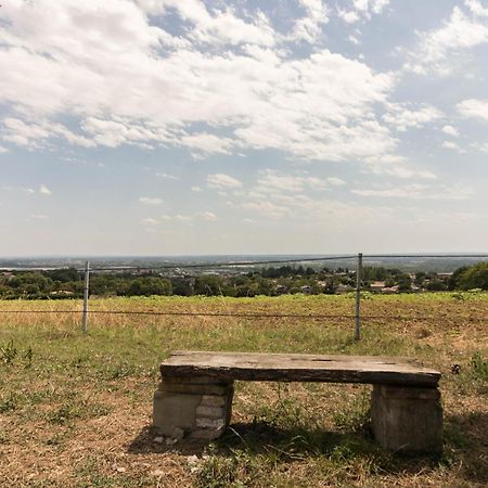 Gite Des Moulins Castelnau-dʼEstrétefonds Εξωτερικό φωτογραφία